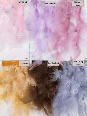 turkey feather color chart