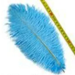 Various Colors of Superior Ostrich Feathers 15-80cm - OneYard