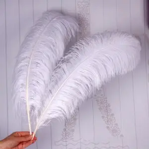 Fluffy ostrich feathers fabric for sale