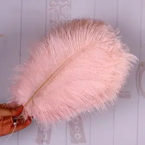 Ostrich feather for special occasion dresses such as prom dresses