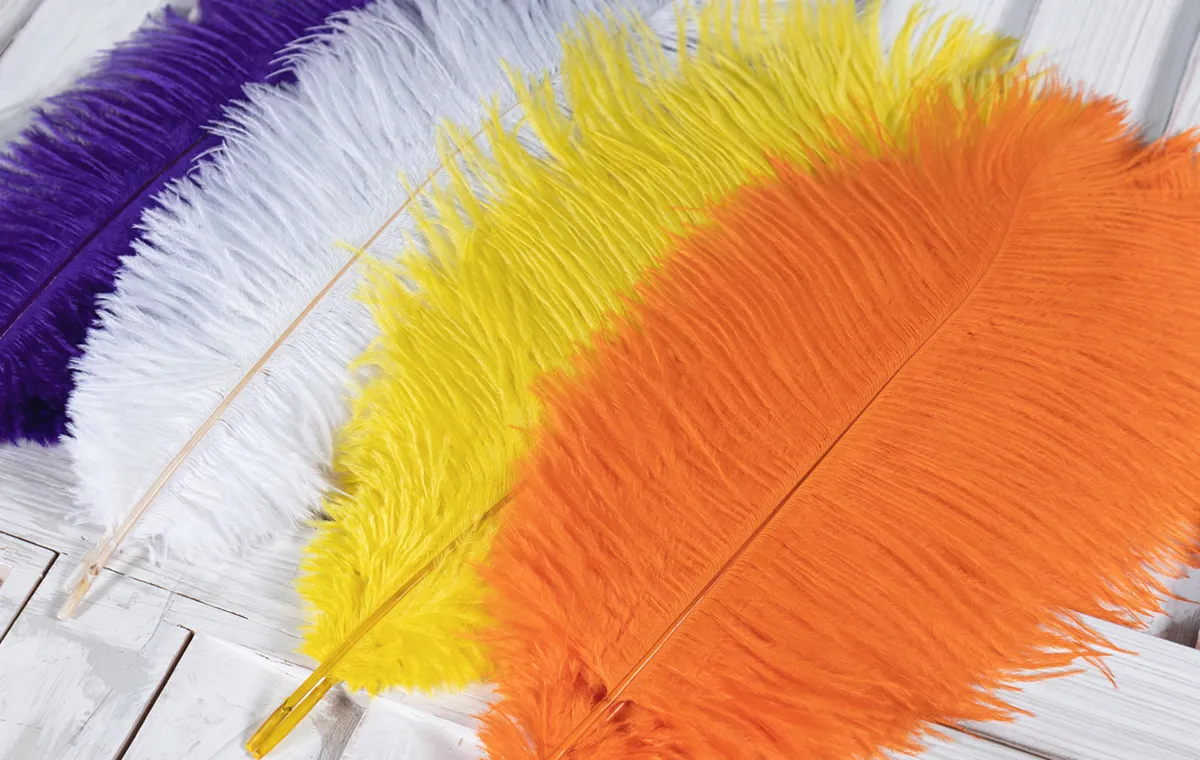 15 80cm ostrich feather