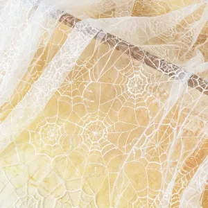 clear sequinned spider web lace